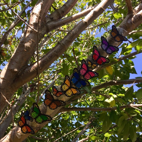 •Welcome to my closet• - Picture 7 of 8